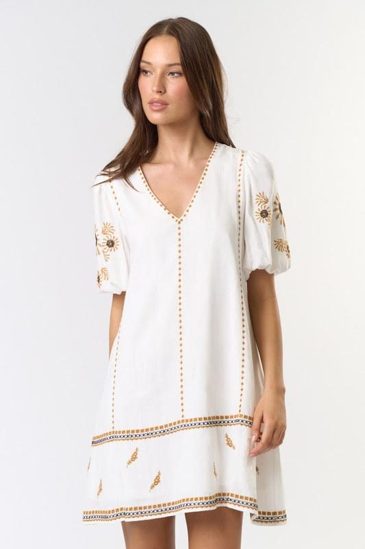 Lalavon Embroidery Mini Dress