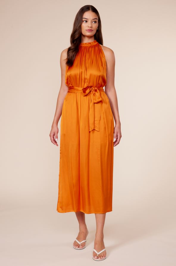 Lucy Paris Tenley Maxi Dress