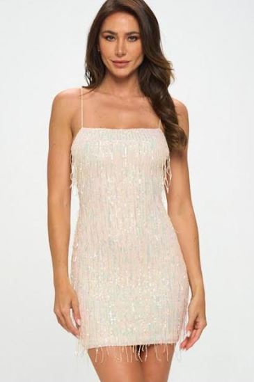 Lovely Day Mesh W/ Sequin Dress