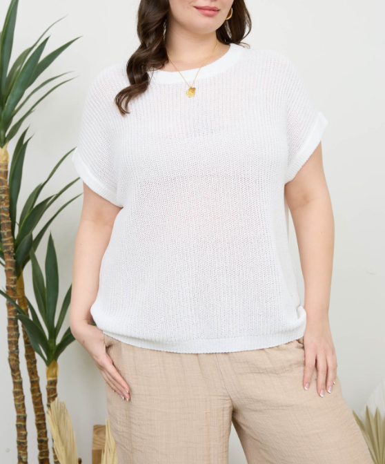 Mine Sheer Knit Crew Neck Batwing Sweater
