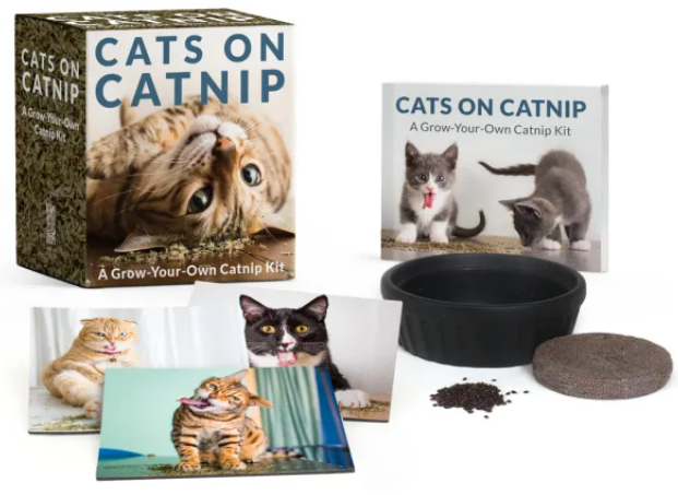 Running Press Cats auf Katzenminze
