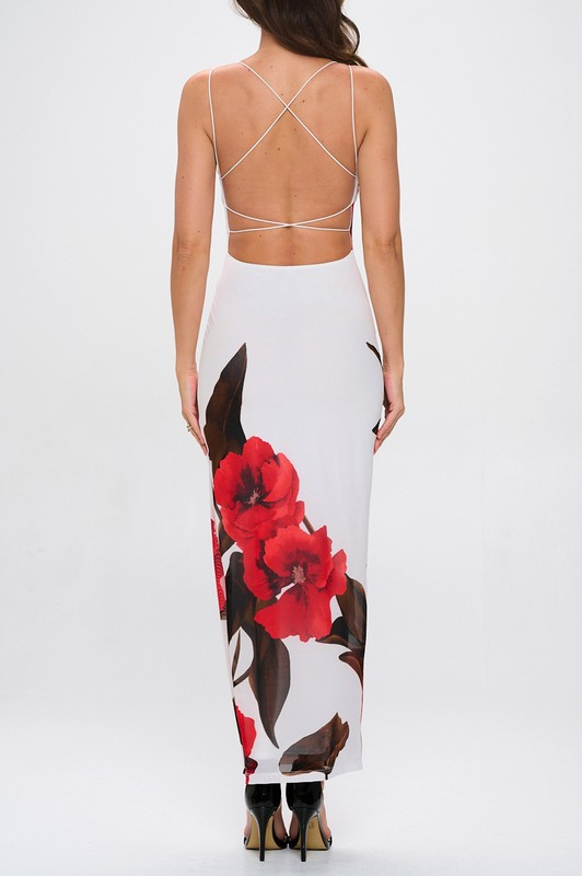 Lovely Day Romance Mesh Dress