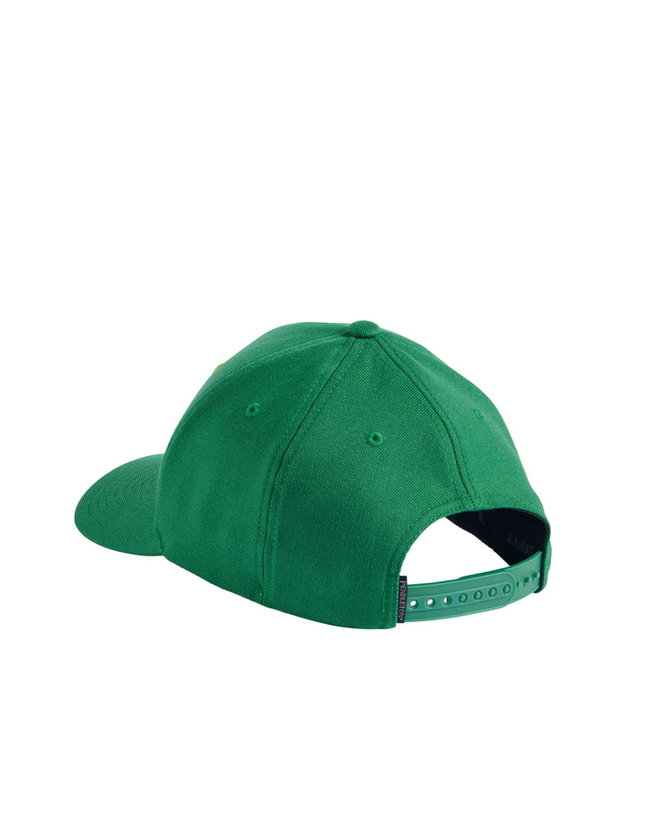 Pendleton Vintage Logo Graphic Hat
