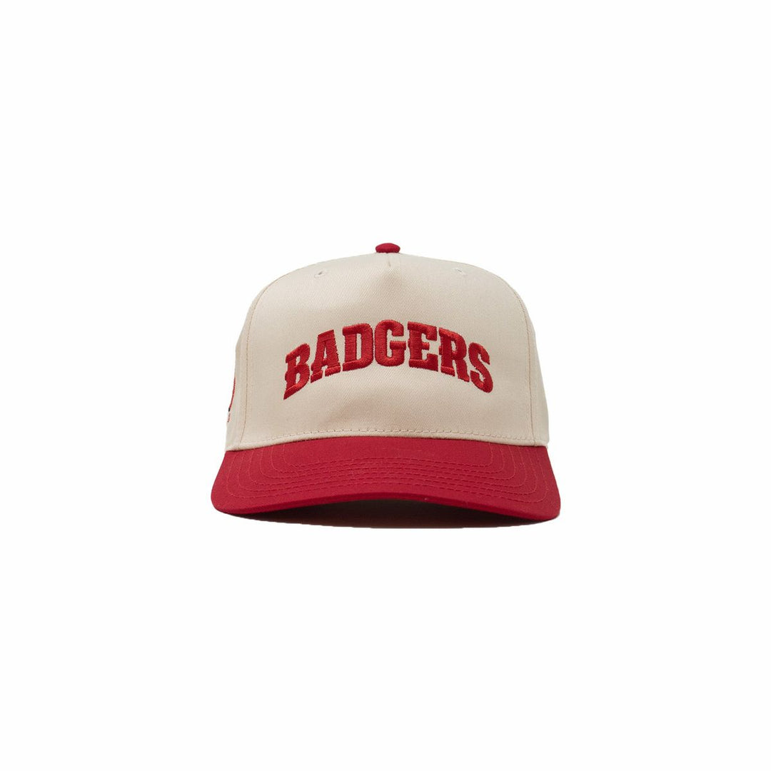Wisconsin Design Team Badgers Arc Hat