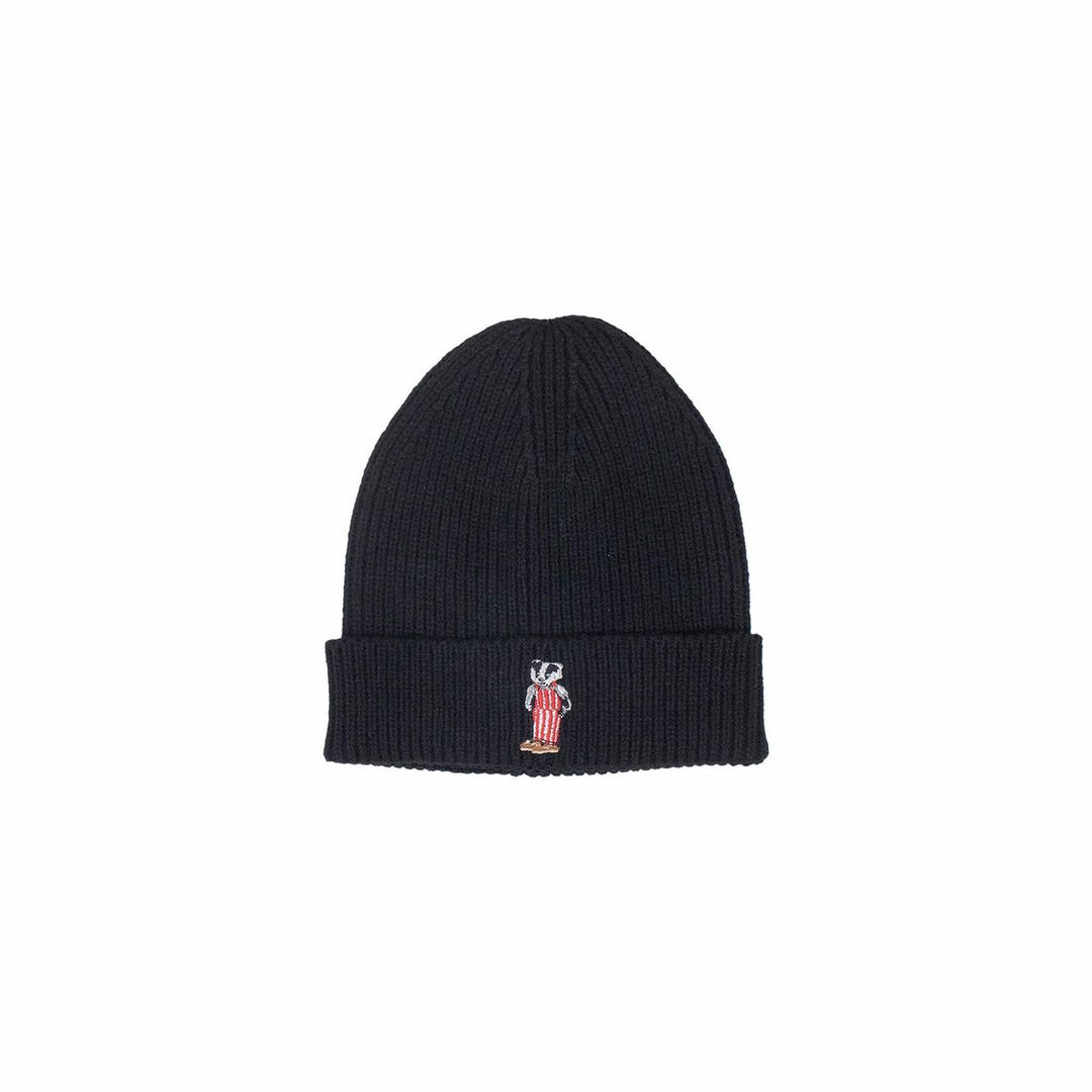 Wisconsin Design Team Badger Bear Beanie