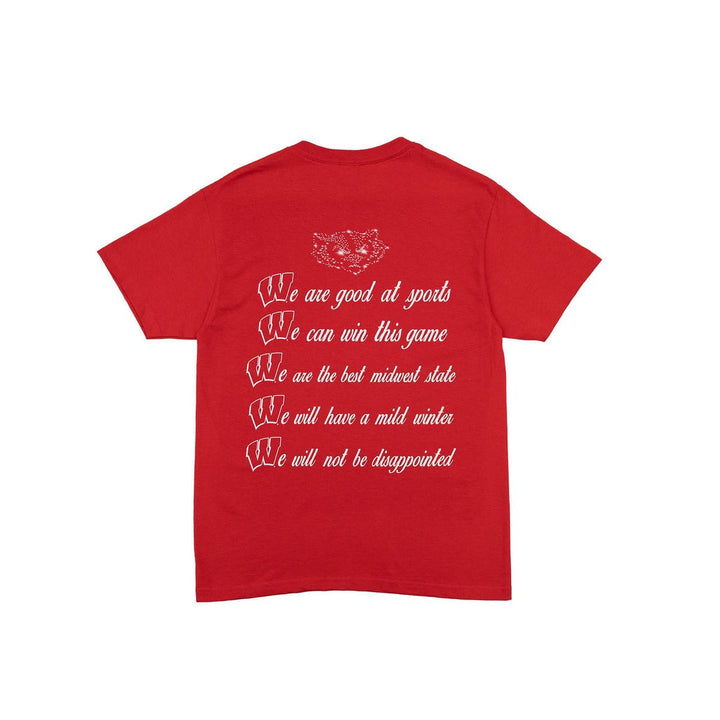 Wisconsin Design Team Badger Affirmations Tee