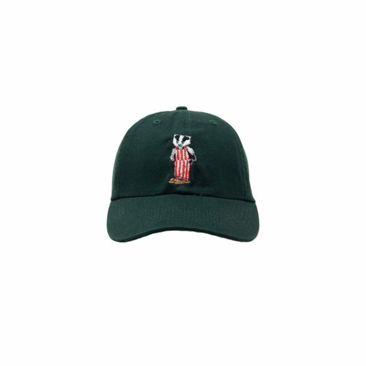 Wisconsin Design Team Badger Bear Hat