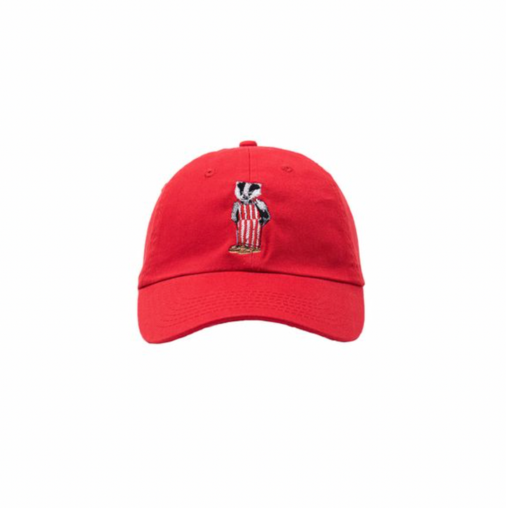 Wisconsin Design Team Badger Bear Hat