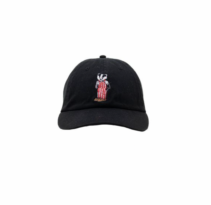 Wisconsin Design Team Badger Bear Hat