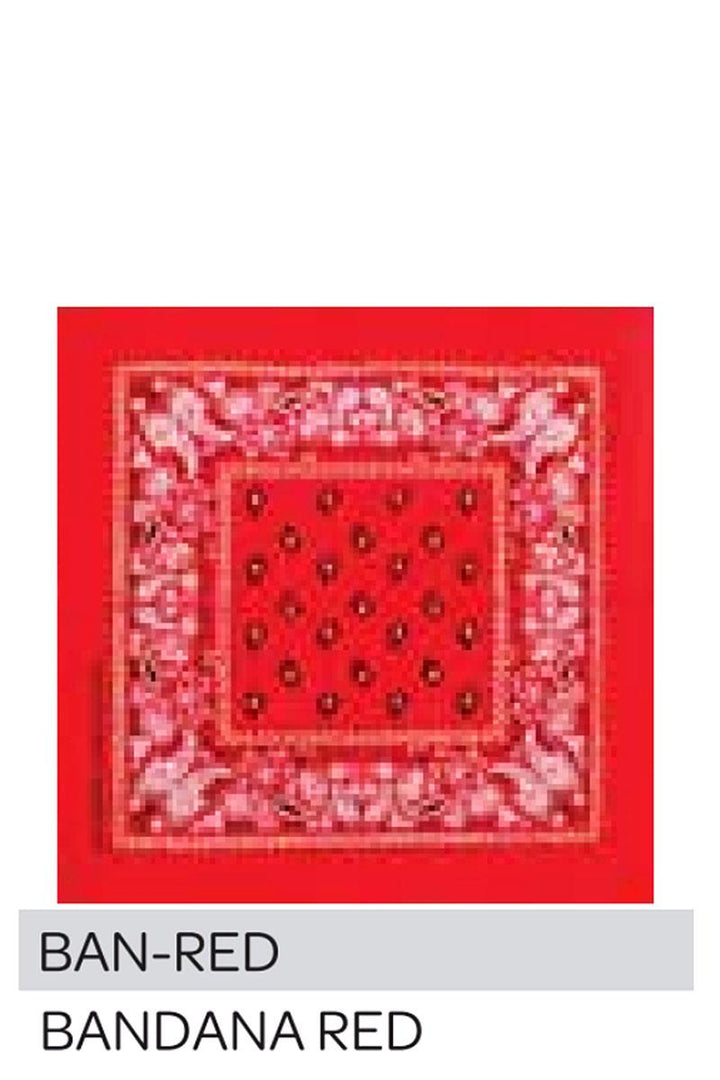 Joia Accessories Paisley Bandana