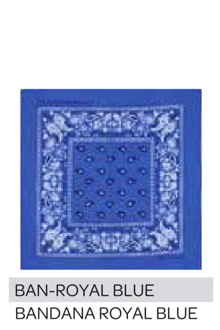 Joia Accessories Paisley Bandana