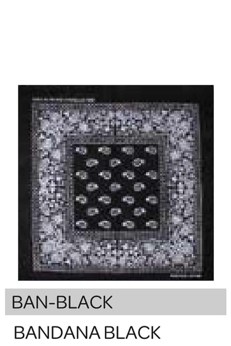 Joia Accessories Paisley Bandana