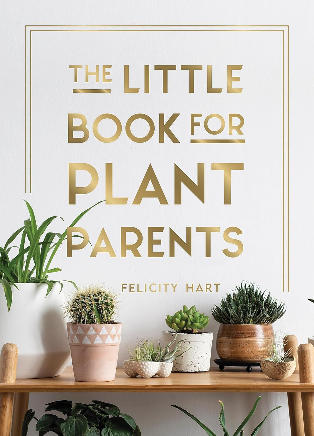 Summersdale Le petit livre pour les parents de plantes