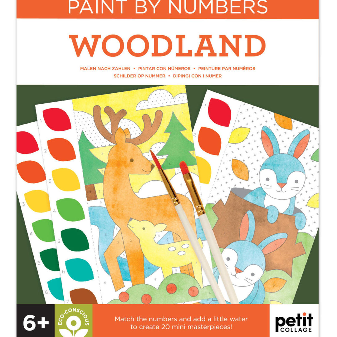 Chronicle Books Paint by Numbers: Woodland