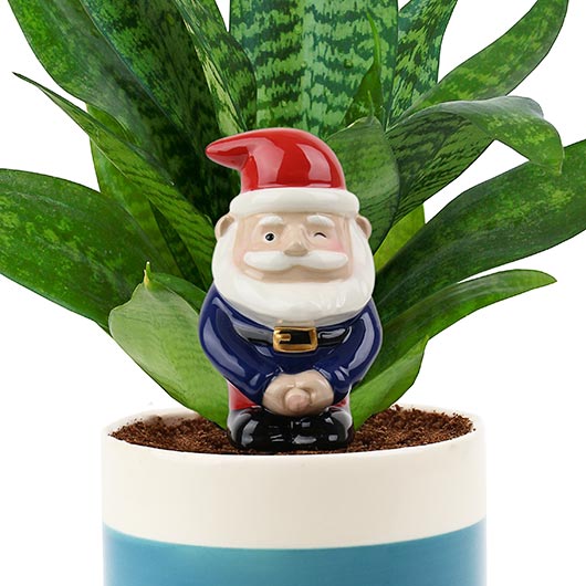 Gift Republic Planters
