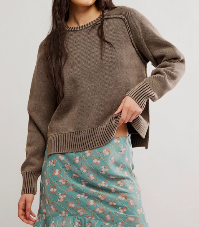 Free People Spring Street Pullover