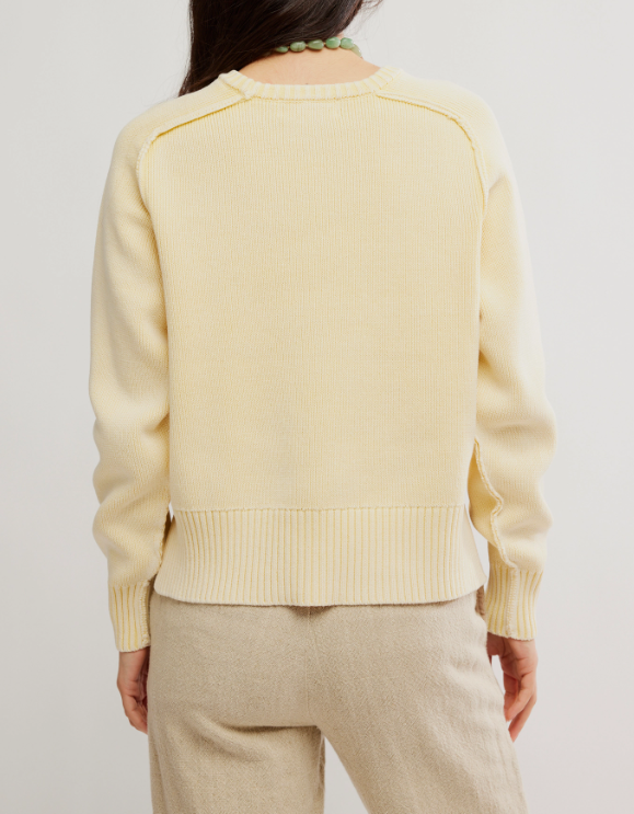 Free People Spring Street Pullover