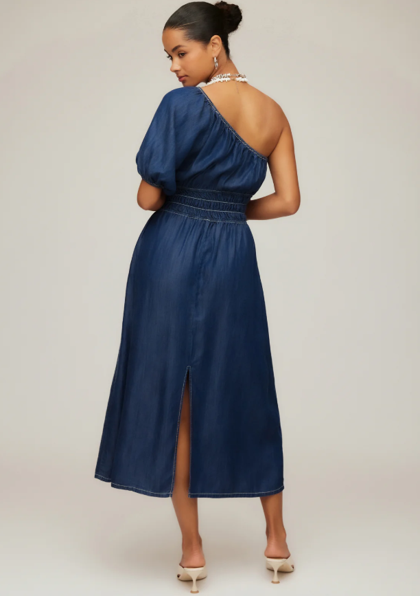 Fifteen Twenty Abilene One Shoulder Dress