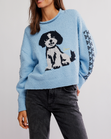 Free People Story Book Sweater