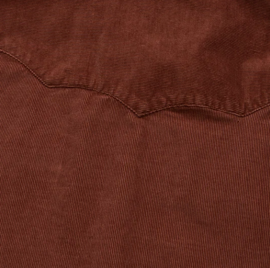 Howler Brothers Banning Corduroy Snapshirt