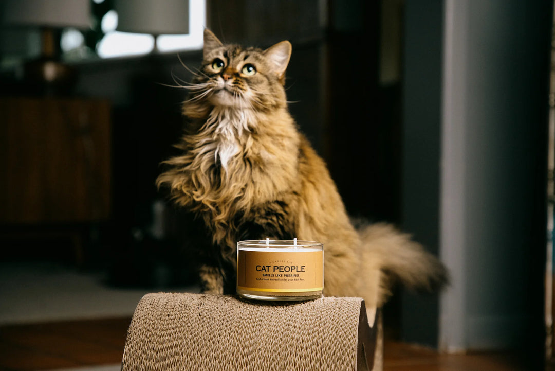 Whiskey River Soap A Candle For Cat People