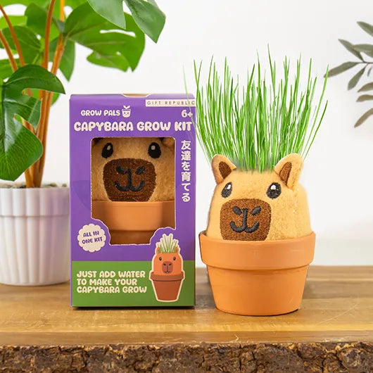 Gift Republic Capybara Grow Pal