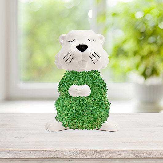 Gift Republic Hairy Beaver Chia Pet