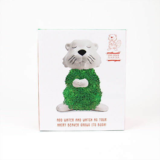 Gift Republic Hairy Beaver Chia Pet