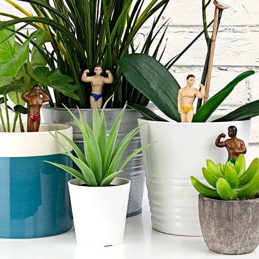 Gift Republic Planters