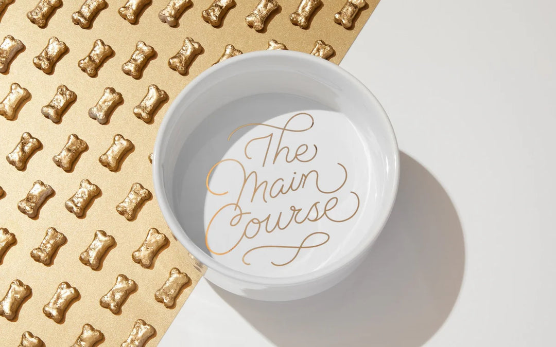 Hachette Brass Monkey The Main Course Dog Food Bowl