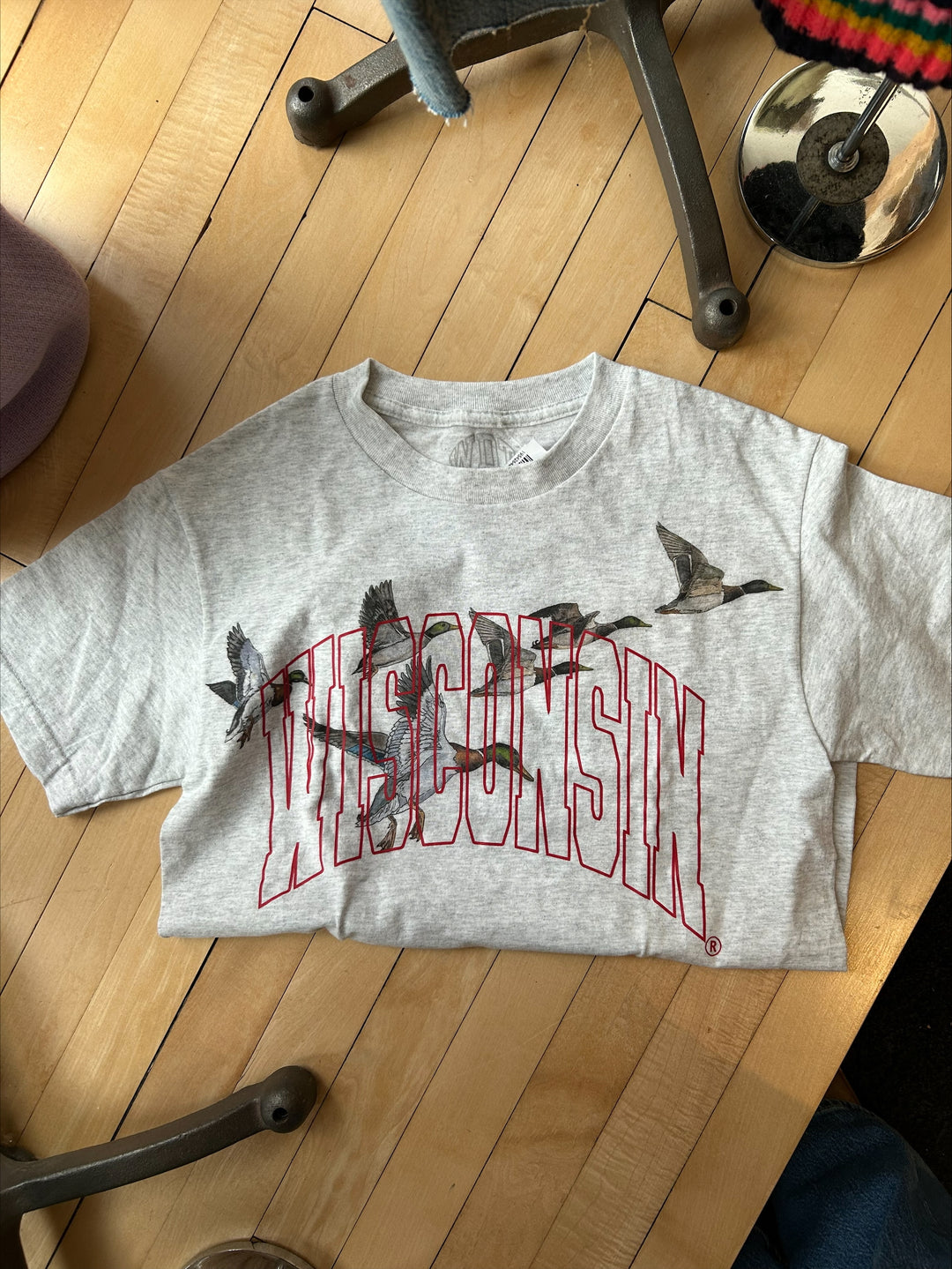 Wisconsin Design Team Badger Duck Tee