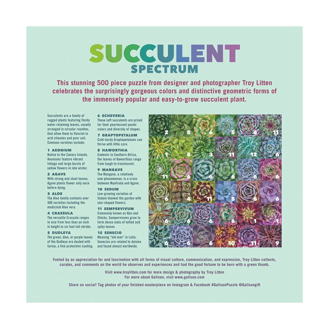 Galison Succulent Spectrum 500 Piece Puzzle