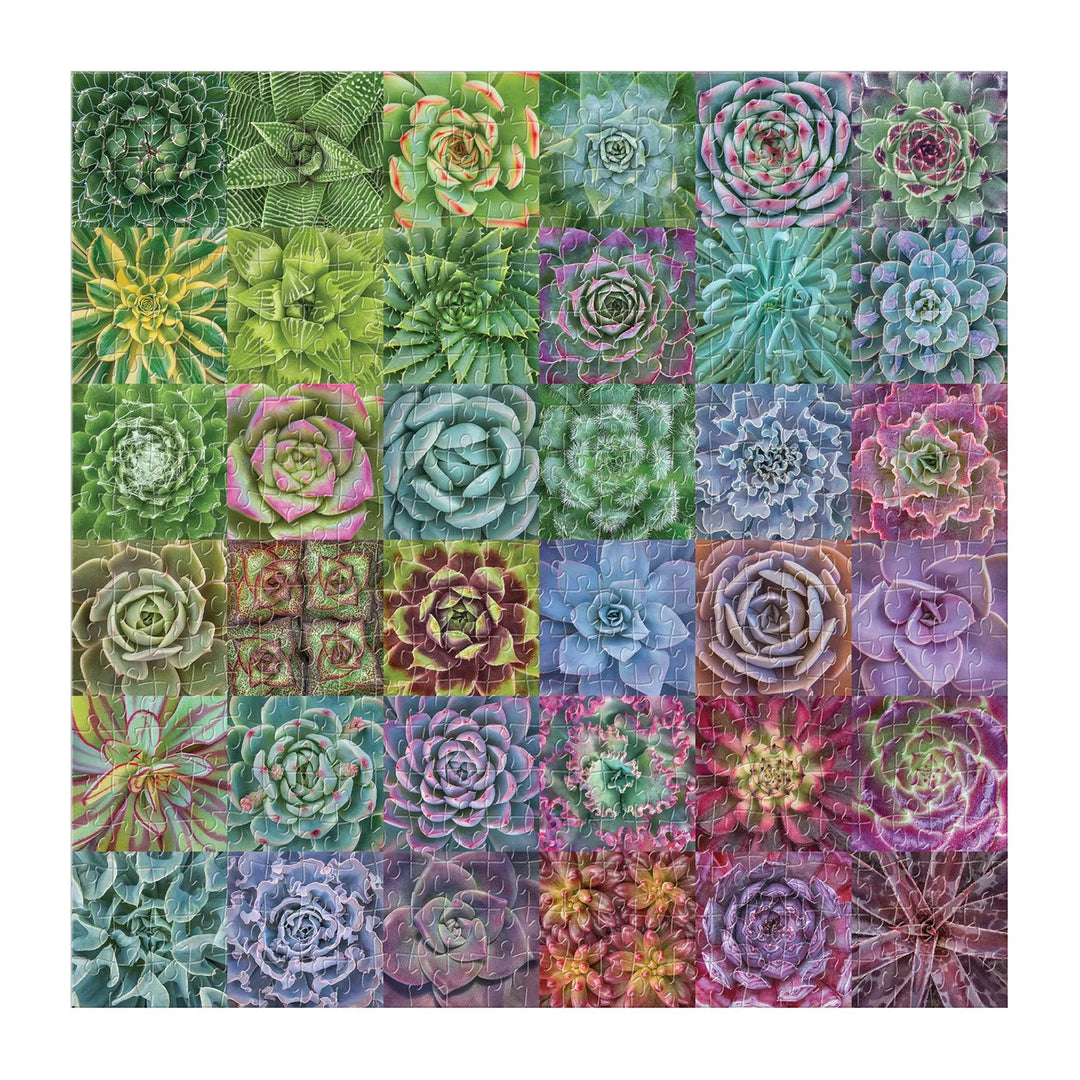 Galison Succulent Spectrum 500 Piece Puzzle