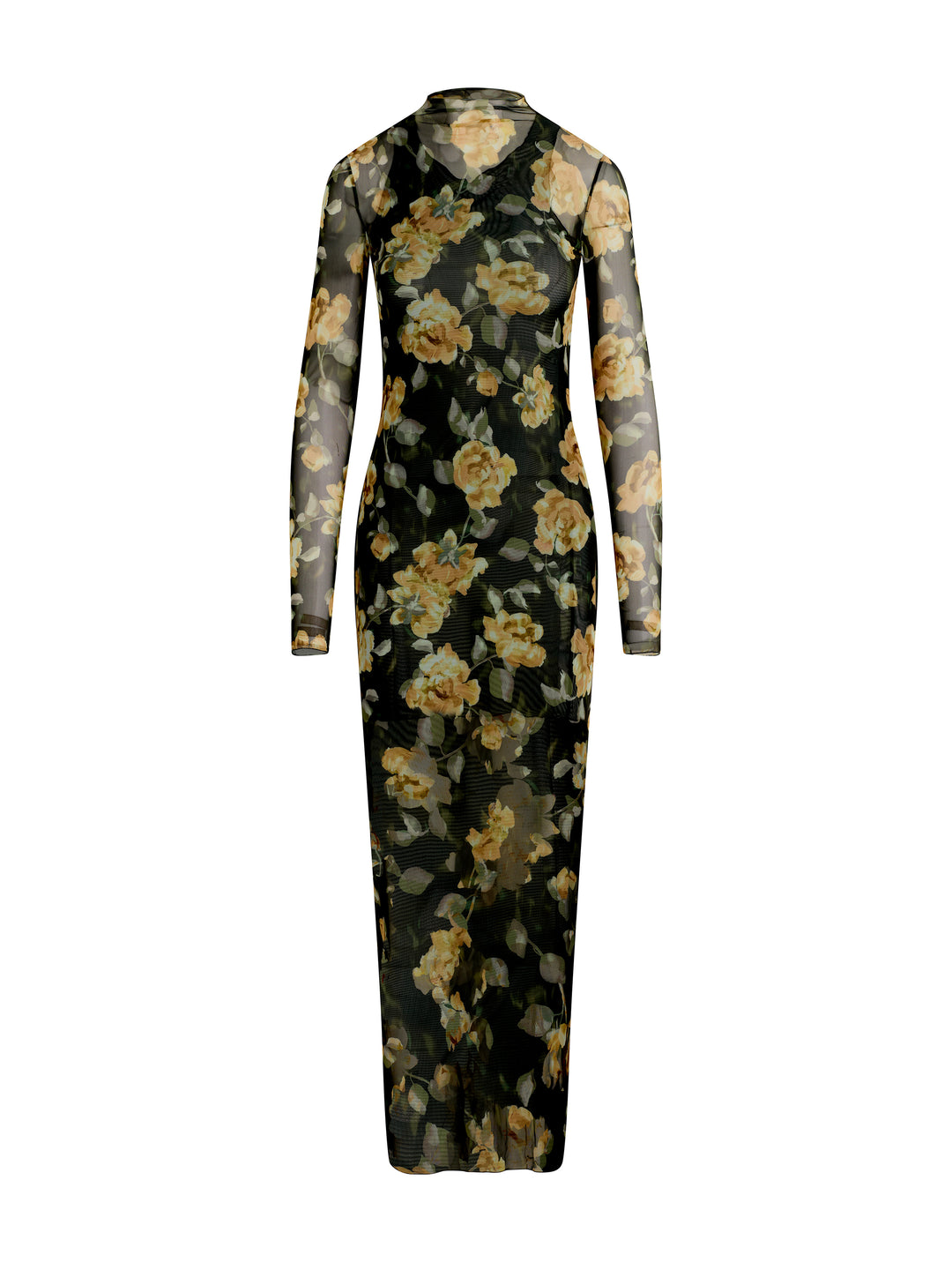 Favorite Daughter The Sheer Fantasy Dress