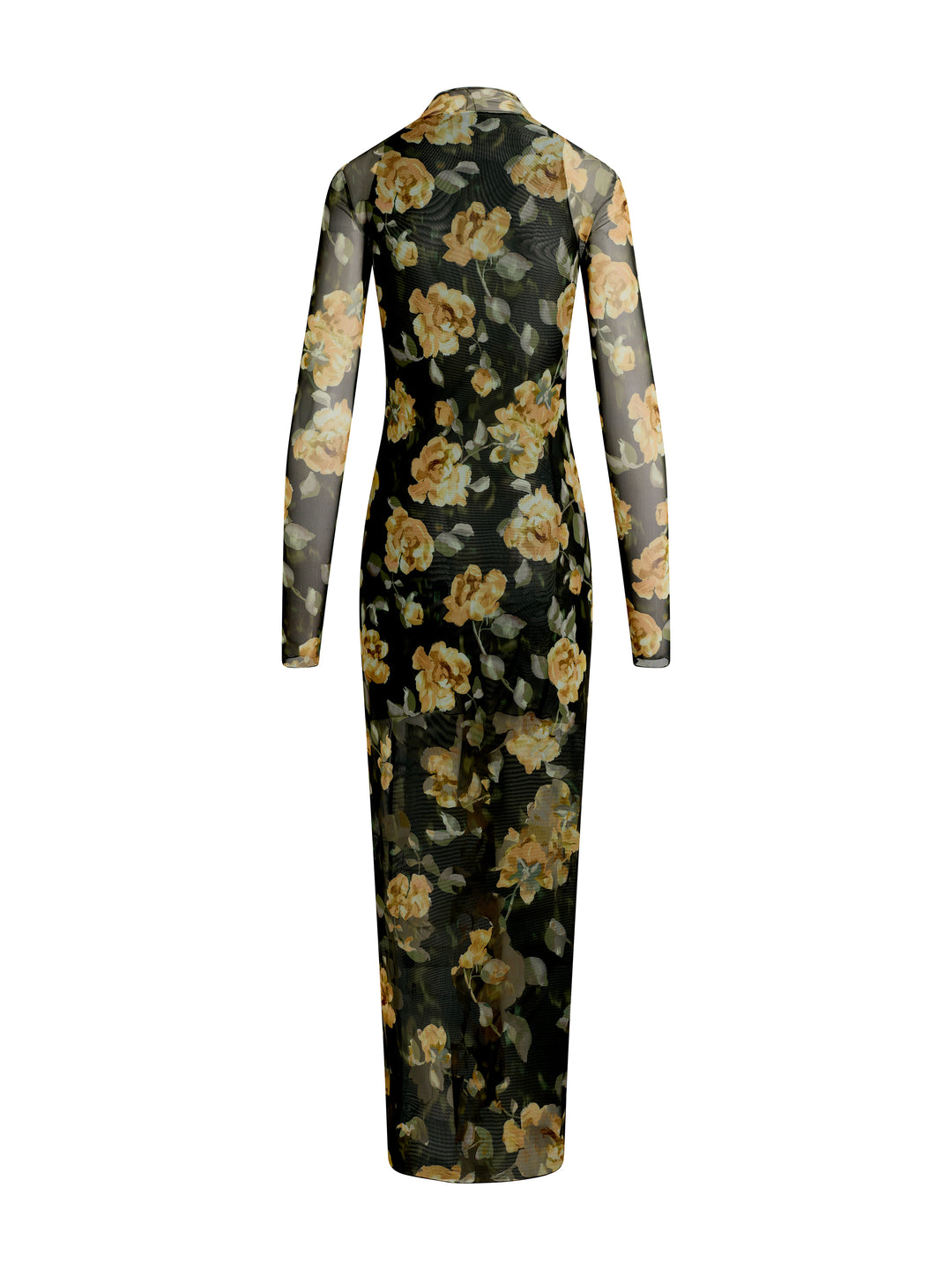 Favorite Daughter The Sheer Fantasy Dress