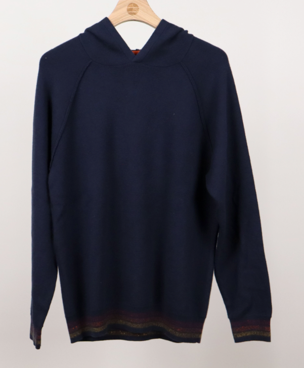 Marine Layer Varsity Sweater Hoodie