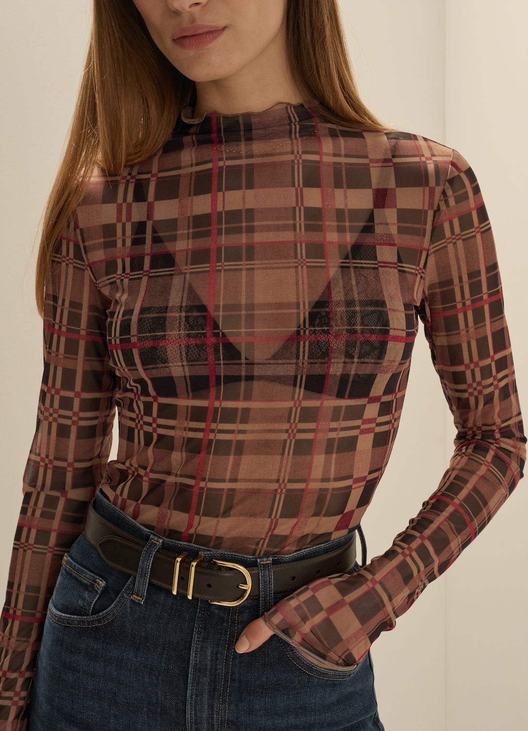Favorite Daughter The Sheer Fantasy Top