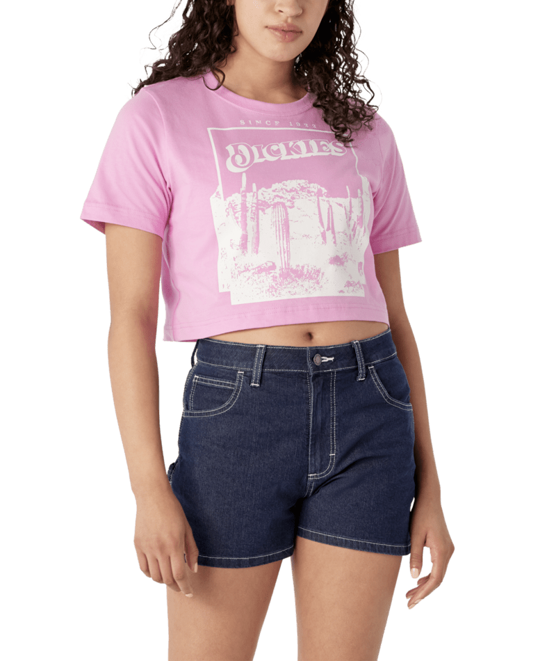 Dickies Yw Boyfriend Desert Graphic Tee Ss